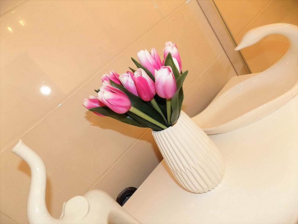 Apartment Anamarija Нівице Екстер'єр фото